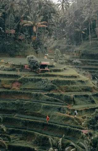 Bali